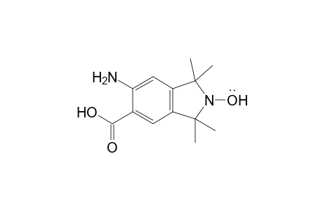 5-Amino-6-carboxy-1,1,3,3-tetramethylisoindolin-2-yloxyl