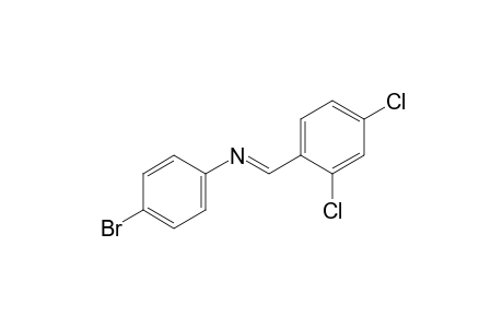 p-bromo-N-(2,4-dichlorobenzylidene)aniline