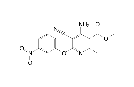 4-Amino-5-cyano-6-(3-nitrophenoxy)-2-methyl-nicotinic acid Methyl ester