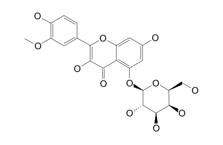 ISORHAMNETIN-3-O-BETA-D-GALACTOPYRANOSIDE