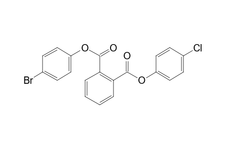 Phthalic acid, 4-bromophenyl 4-chlorophenyl ester