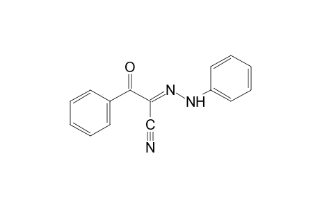 alpha,beta-DIOXOHYDROCINNAMONITRILE, alpha-(PHENYLHYDRAZONE)
