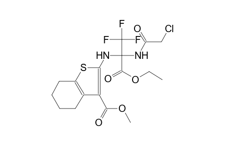 benzo[b]thiophene-3-carboxylic acid, 2-[[1-[(chloroacetyl)amino]-1-(ethoxycarbonyl)-2,2,2-trifluoroethyl]amino]-4,5,6,7-tetrahydro-, methyl ester