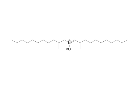 (Z)-2-methyl-N-(2-methylundecyl)undecan-1-imine oxide