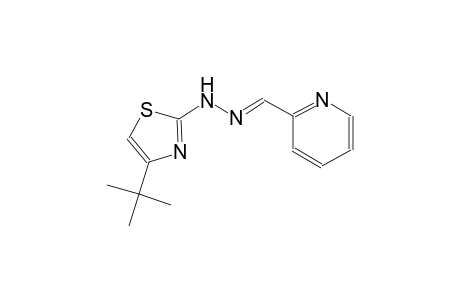 2-pyridinecarboxaldehyde, [4-(1,1-dimethylethyl)-2-thiazolyl]hydrazone
