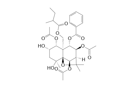 (1R,2S,4S,5S,6R,7R,8S,9S,10S)-1,6,8-Triacetoxy-9-benzoyloxy-15-(2-methylbutyroyloxy)-2,4-dihydroxydihydro-.beta.-agarofuran