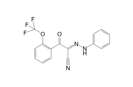 3-Oxo-2-(2-phenylhydrazono)-3-[2-(trifluoromethoxy)phenyl]propanenitrile