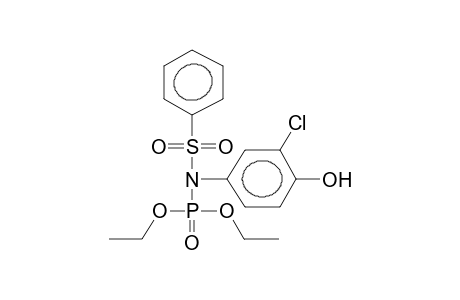 DIETHYL-N-(4-HYDROXY-3-CHLOROPHENYL)-N-(PHENYLSULPHONYL)AMIDOPHOSPHATE