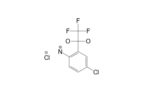 4-CHLORO-2-TRIFLUOROACETYLANILINE_HYDROCHLORIDE_HYDRATE