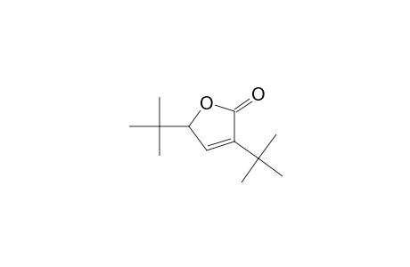 2,4-Ditert-butyl-2H-furan-5-one