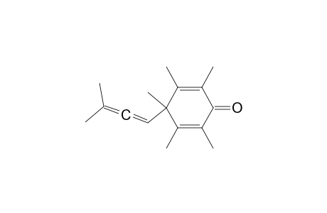 2,3,4,5,6-pentamethyl-4-(3-methylbuta-1,2-dienyl)-1-cyclohexa-2,5-dienone