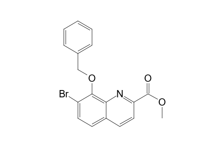 Methyl 8-(Benzyloxy)-7-bromoquinoline-2-carboxylate
