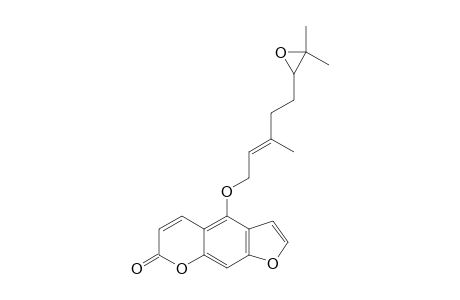 BERGAMOTTIN-EPOXIDE;4-[[(E)-5-(3,3-DIMETHYL-2-OXIRANYL)-3-METHYL-2-PENTENYL]-OXY]-7H-FURO-[3,2-G]-CHROMEN-7-ONE