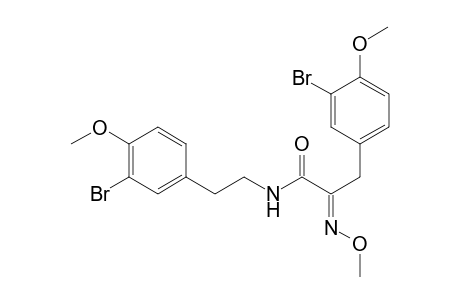 (2E)-3-(3-bromanyl-4-methoxy-phenyl)-N-[2-(3-bromanyl-4-methoxy-phenyl)ethyl]-2-methoxyimino-propanamide