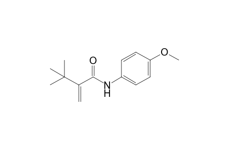 2-t-Butyl-N-(4-methoxyphenyl)acrylamide
