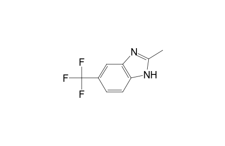 2-Methyl-5-(trifluoromethyl)-1H-benzimidazole