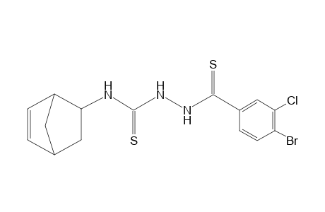 1-(4-BROMO-3-CHLOROTHIOBENZOYL)-4-(5-NORBORNEN-2-YL)-3-THIOSEMICARBAZIDE