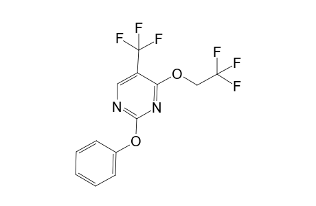 2-Phenoxy-4-(2,2,2-trifluoroethoxy)-5-(trifluoromethyl)pyrimidine