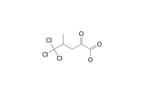 4-TRICHLOROMETHYL-2-OXOPENTANOIC_ACID