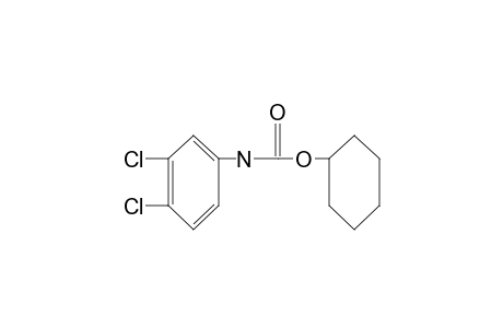3,4-dichlorocarbanilic acid, cyclohexyl ester