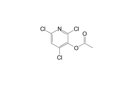 2,4,6-Trichloro-3-pyridyl acetate