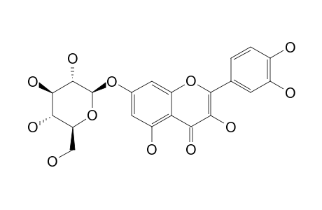 QUERCETIN-7-O-BETA-D-GLUCOPYRANOSIDE