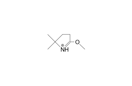 5,5-Dimethyl-2-methoxy-1-pyrrolium cation
