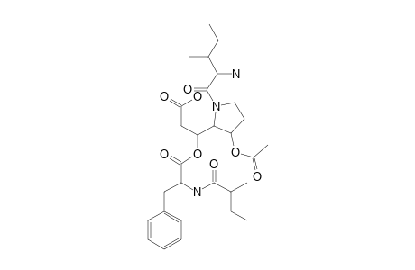 DETOXIN-E1