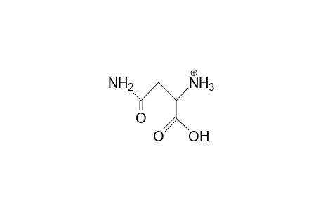 Asparagine cation