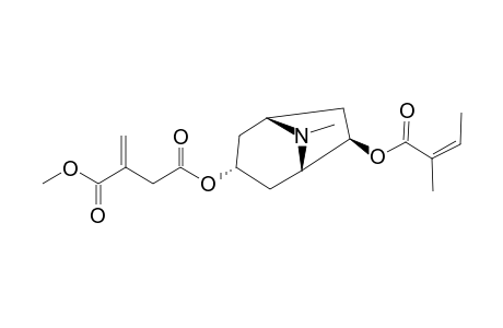 3.alpha.-(1-Methylitaconyl)-6.beta.-angeloyloxytropane