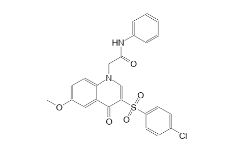 1-quinolineacetamide, 3-[(4-chlorophenyl)sulfonyl]-1,4-dihydro-6-methoxy-4-oxo-N-phenyl-