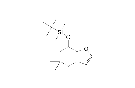 7-(TERT.-BUTYLDIMETHYLSILYLOXY)-4,5,6,7-TETRAHYDRO-5,5-DIMETHYLBENZOFURAN