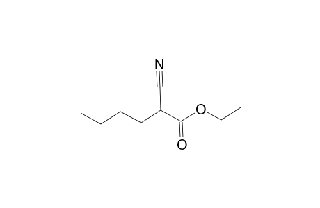 Hexanoic acid, 2-cyano-, ethyl ester