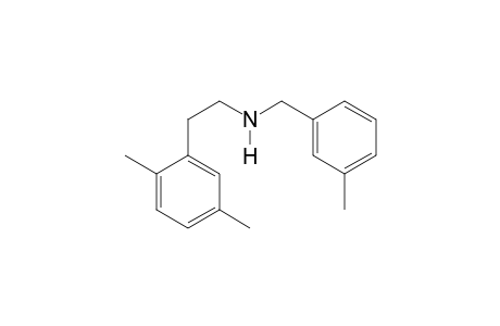 2-(2,5-Dimethylphenyl)-N-(3-methylbenzyl)ethan-1-amine