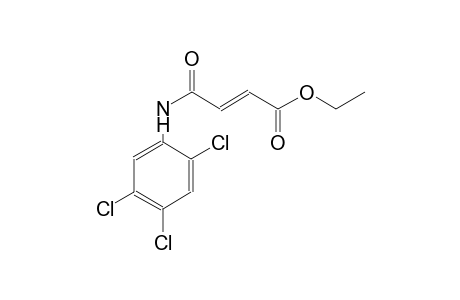 ethyl (2E)-4-oxo-4-(2,4,5-trichloroanilino)-2-butenoate
