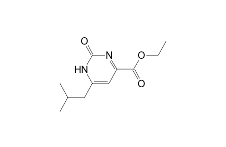 2-Hydroxy-6-isobutyl-pyrimidine-4-carboxylic acid, ethyl ester