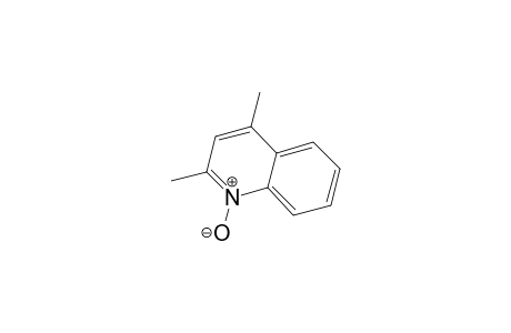 Quinoline, 2,4-dimethyl-, 1-oxide