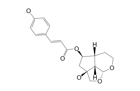 6-O-TRANS-PARA-COUMAROYL-7-DEOXYREHMAGLUTIN-A