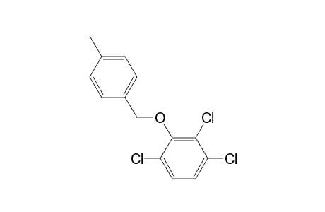 2,3,6-Trichlorophenyl p-xylenyl ether