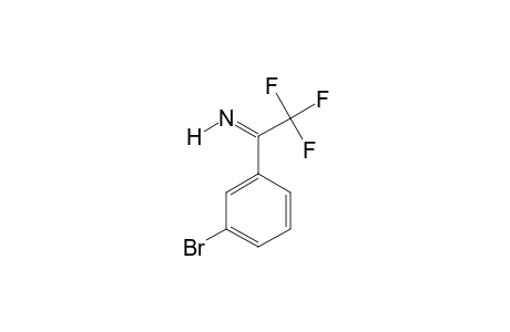(E)-1-(2,2,2-TRIFLUORO)-1-(3-BROMOPHENYL)-ETHYL-IMINE;MINOR-ISOMER