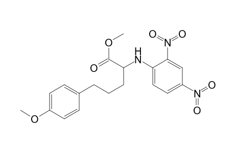 Methyl 2-N-(2,4-dinitrophenyl)amino-5-(4-methoxyphenyl)pentanoate