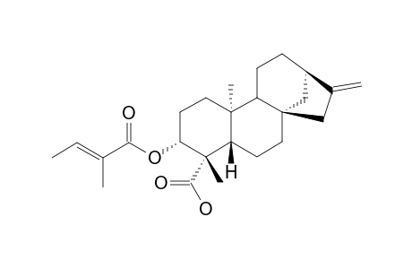 3-ALPHA-TIGLOYLOXY-KAUR-16-EN-19-OIC-ACID