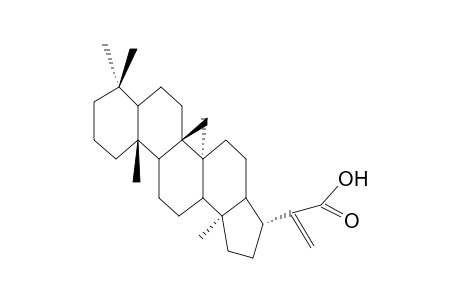 HOPAN ; TUBEROSIC ACID ; HOP-22(29)-EN-30-OIC ACID