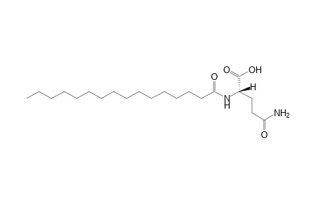 N-Palmitolyl-L-glutamine (16:0-Gln)