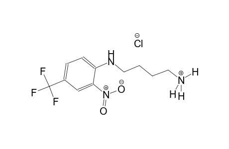 1-butanaminium, 4-[[2-nitro-4-(trifluoromethyl)phenyl]amino]-, chloride