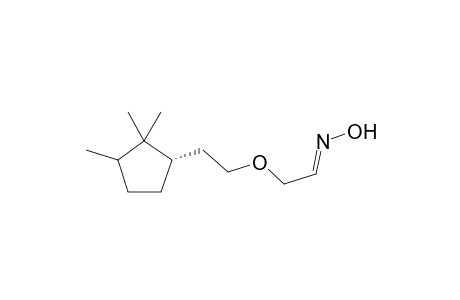2-(2-((1S)-2,2,3-trimethylcyclopentyl)ethoxy)acetaldehydeoxime