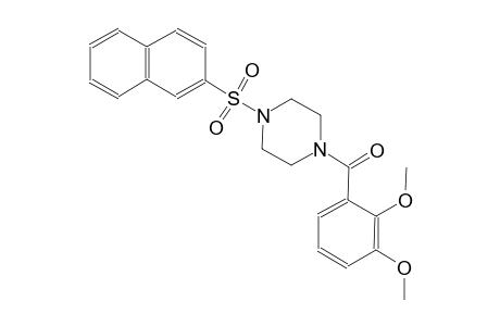 piperazine, 1-(2,3-dimethoxybenzoyl)-4-(2-naphthalenylsulfonyl)-
