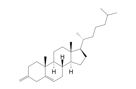 3-Methylenecholest-5-ene