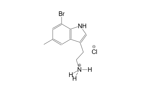 2-(7-bromo-5-methyl-1H-indol-3-yl)ethanaminium chloride