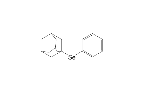 Tricyclo[3.3.1.13,7]decane, 1-(phenylseleno)-